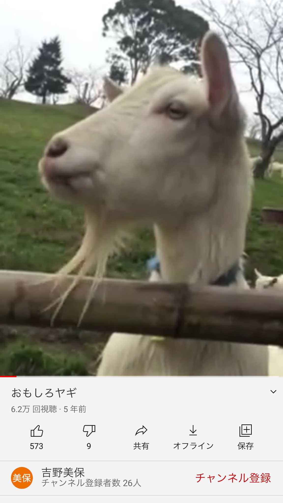 めぎゃ T Co Dhle3wtnaz このヤギの動画俺の動画の3倍面白い めぎゃ T Co Dhle3wtnaz このヤギの動画俺の動画の3倍面白い