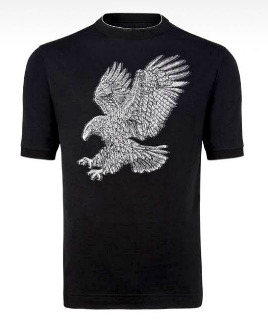 BChic_RDC's tweet photo. Nouvel arrivage chez B-Chic !!!
T-shirt #StefanoRicci disponible dans nos boutiques (Fleuve Congo hotel et Rotana) https://t.co/jCnsvtCj8y
