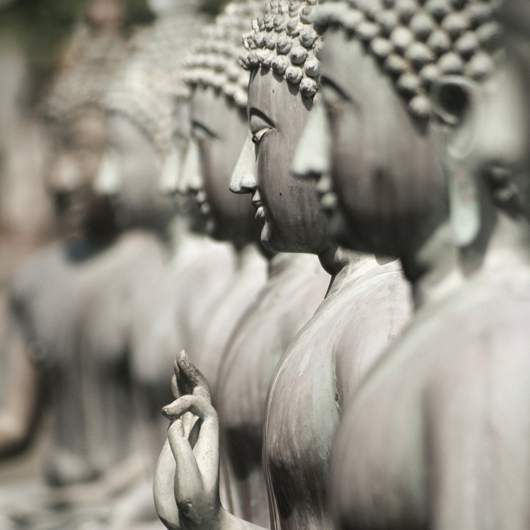 propertiesinsl's tweet photo. The Buddha was a philosopher, mendicant, meditator, spiritual teacher, and religious leader, who is been followed by more than 70% of Sri Lankans.
Photo Credit to @bharath_reddy on @unsplash #realestate #property #srilankan  #buddha #buddhastatue #meditation #buddhistmonastery https://t.co/L2Eum54nkF
