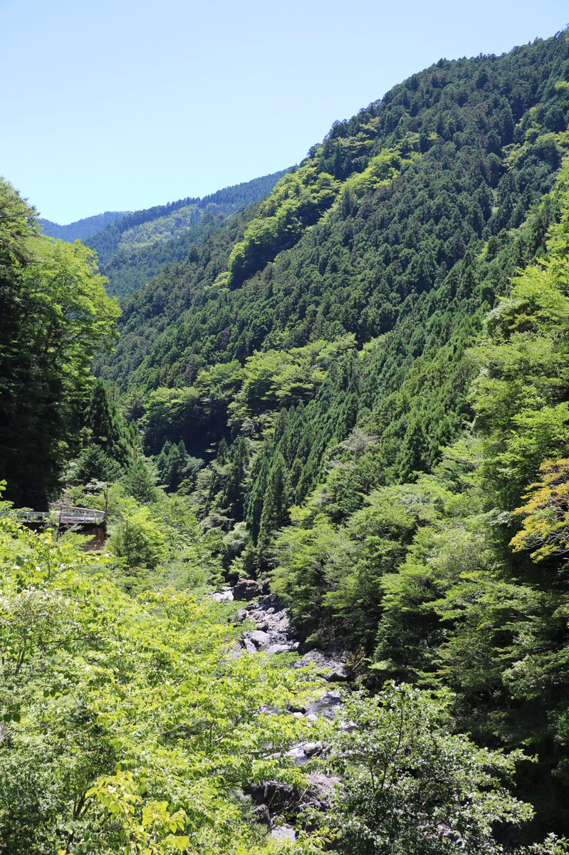 殿川内渓谷