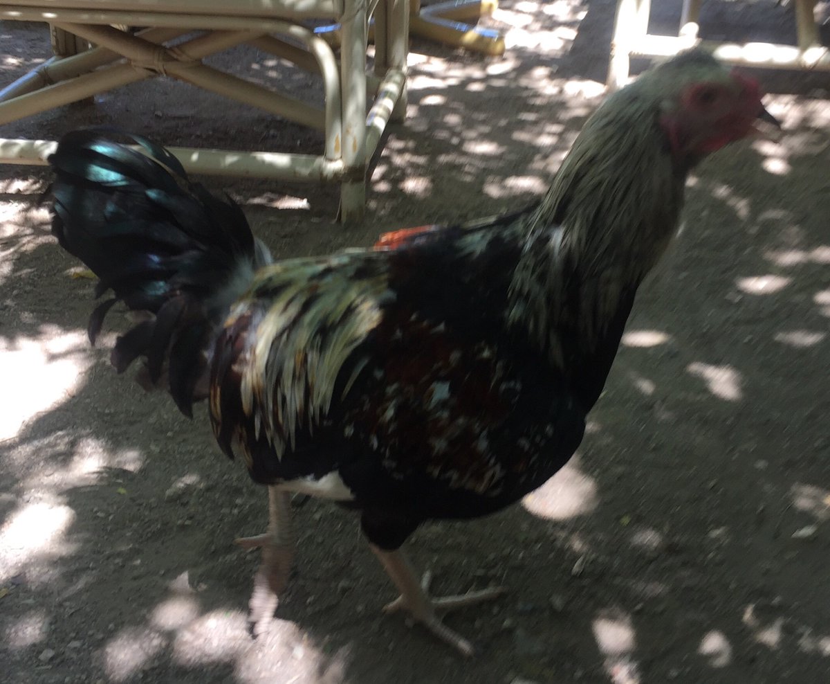 İşte buldum aradığımı ❤️