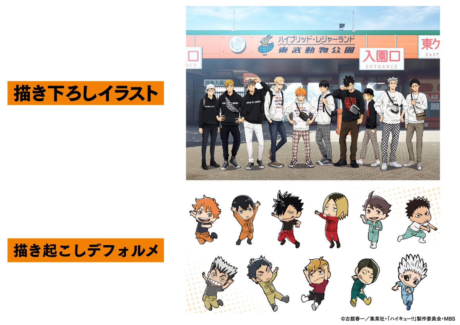 アニメ ハイキュー 東武動物公園コラボ決定 10月3日から ハイキュー To The Top と 東武動物公園 コラボが決定 東武動物公園に訪れたキャラクター達を描いた描き下ろしイラスト 飼育係をイメージしたデフォルメイラストを使用した商品の