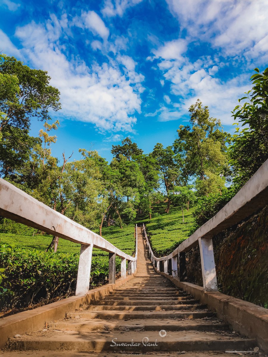 knightwing008's tweet photo. Some photos I am posting From my recent Travel to Jeypore (assam) 
Deosali hill❤️
Check out my vlog for more detail of this place https://t.co/npvAoptaMA https://t.co/iaiC3eeDcN