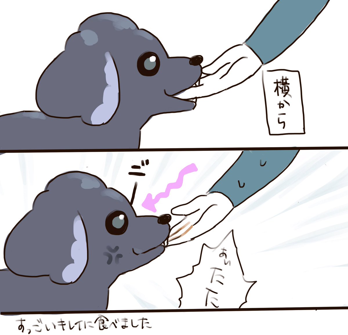 ごはん
昔から食い意地変わってないのかわいい 