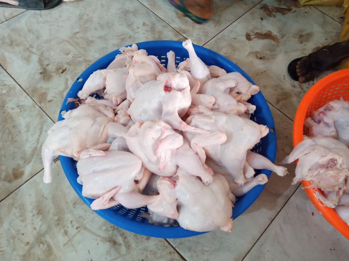 KanmiHub's tweet photo. Frozen chicken is available (Big Sizes of 1.6 - 2.4). 
Price: 1000/ kg
If you are interested kindly call 07065061830. Pls help retweet.
Any quantity you want is available. https://t.co/KLIozOLtF2