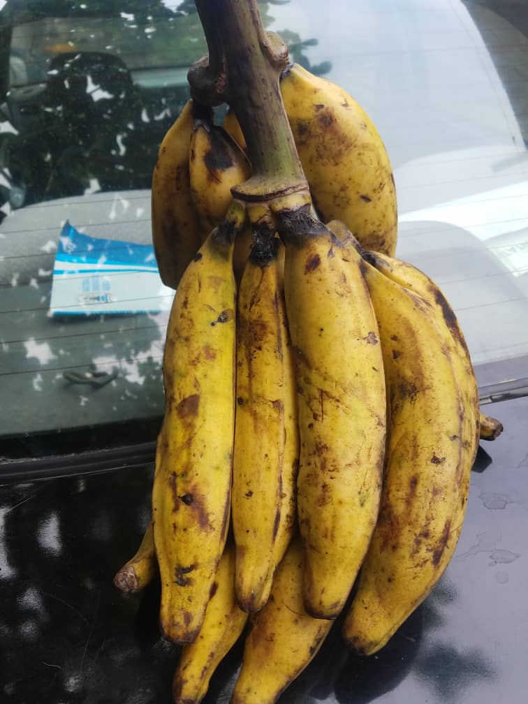 Ayeeshavegs's tweet photo. Hello there!! We sell top quality, fresh fruits and vegetables and also deliver them to your door steps. DM or message 07037438005 to place your orders💕💕💕💕 https://t.co/HMuIOuLDtY