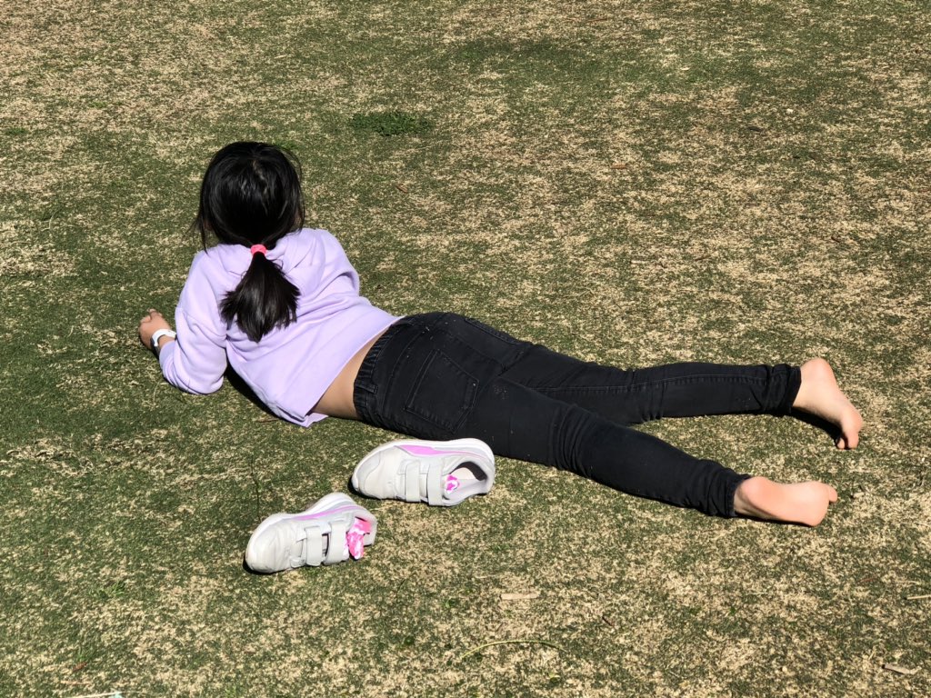 Peter Karam tweet media