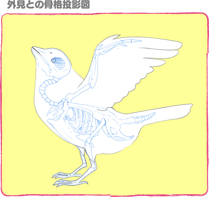 描き方講座のtwitterイラスト検索結果 古い順 描き方講座のtwitterイラスト検索結果 古い順