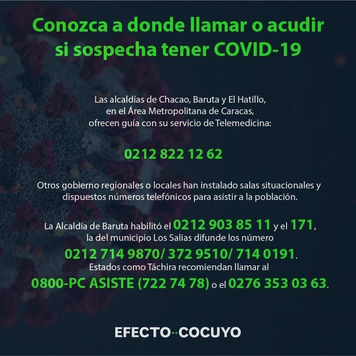 EfectoCocuyo's tweet photo. #Claves La administración de Nicolás Maduro tiene a disposición líneas telefónicas para que los ciudadanos despejen sus dudas y reciban orientación en caso de presentar síntomas o haber estado expuestos a un paciente con COVID-19. #PrevenirCOVID19 https://t.co/2wRc66P7zA https://t.co/pjm8sGNoX4