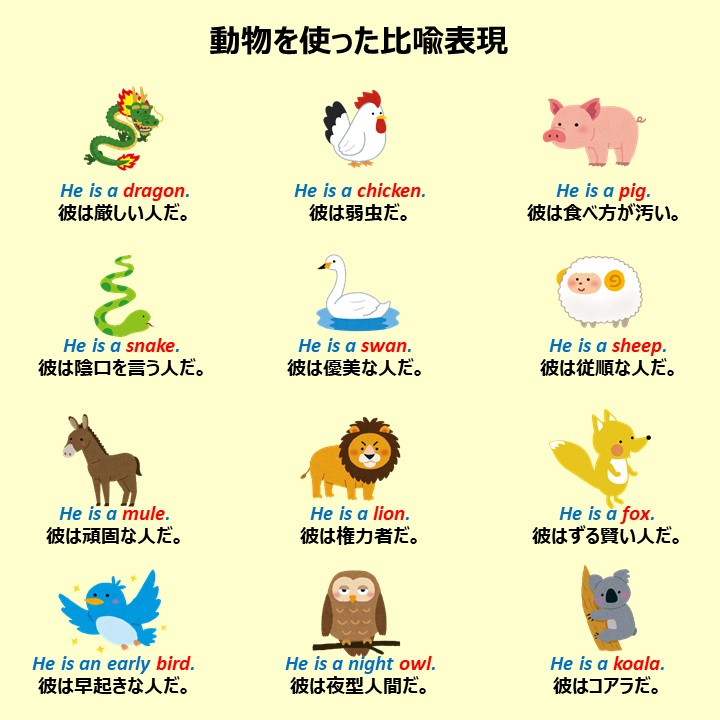 こあたん こあらの学校 動物を使った比喩表現はこちら T Co If8oraoprp Twitter