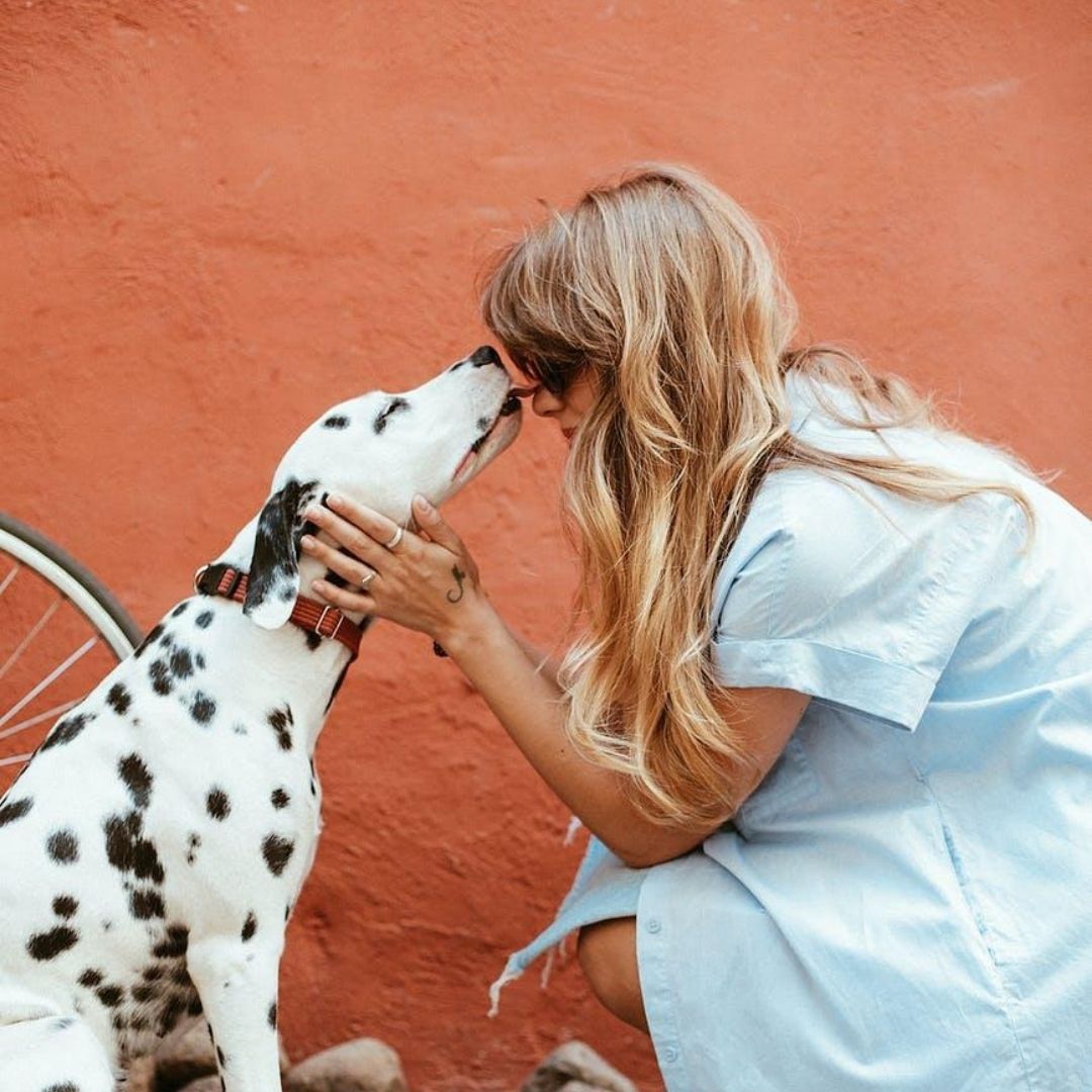 Did you know that you can mix our colours to achieve the right colour for you? To achieve this gorgeous blonde why not mix : 2 parts sun blonde, 1 part light blonde and 1 part Senna/Cassia 😍

#goldenblondehair #blondehair #naturalhair #khadi #khadihair