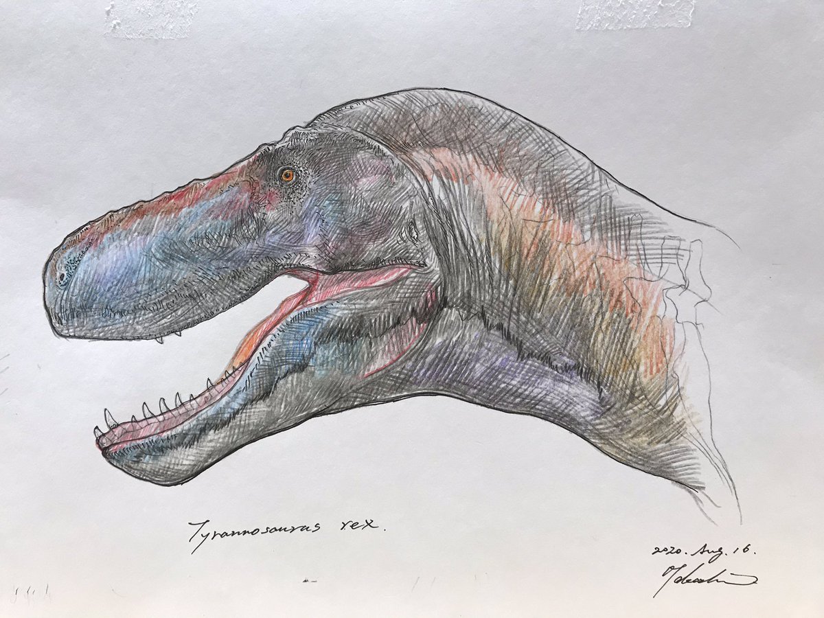 今日のワークショップで描いたティラノサウルスのサンプルと板書。 