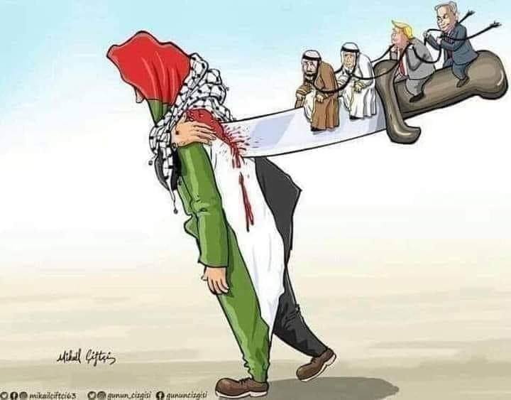 Muhamma53316771's tweet image. اہل حرم  تو  کر چکے  بیعت یزید  کی
دنیا کو آج پھر ہے ضرورت حسینؑ کی
   I am Pakistani and I am with Palestine and I hate those who are sporting Arabs I didn't have any soft corner in my heart for Arabs now
#پاکستان_فلسطین_کےساتھ_ہے