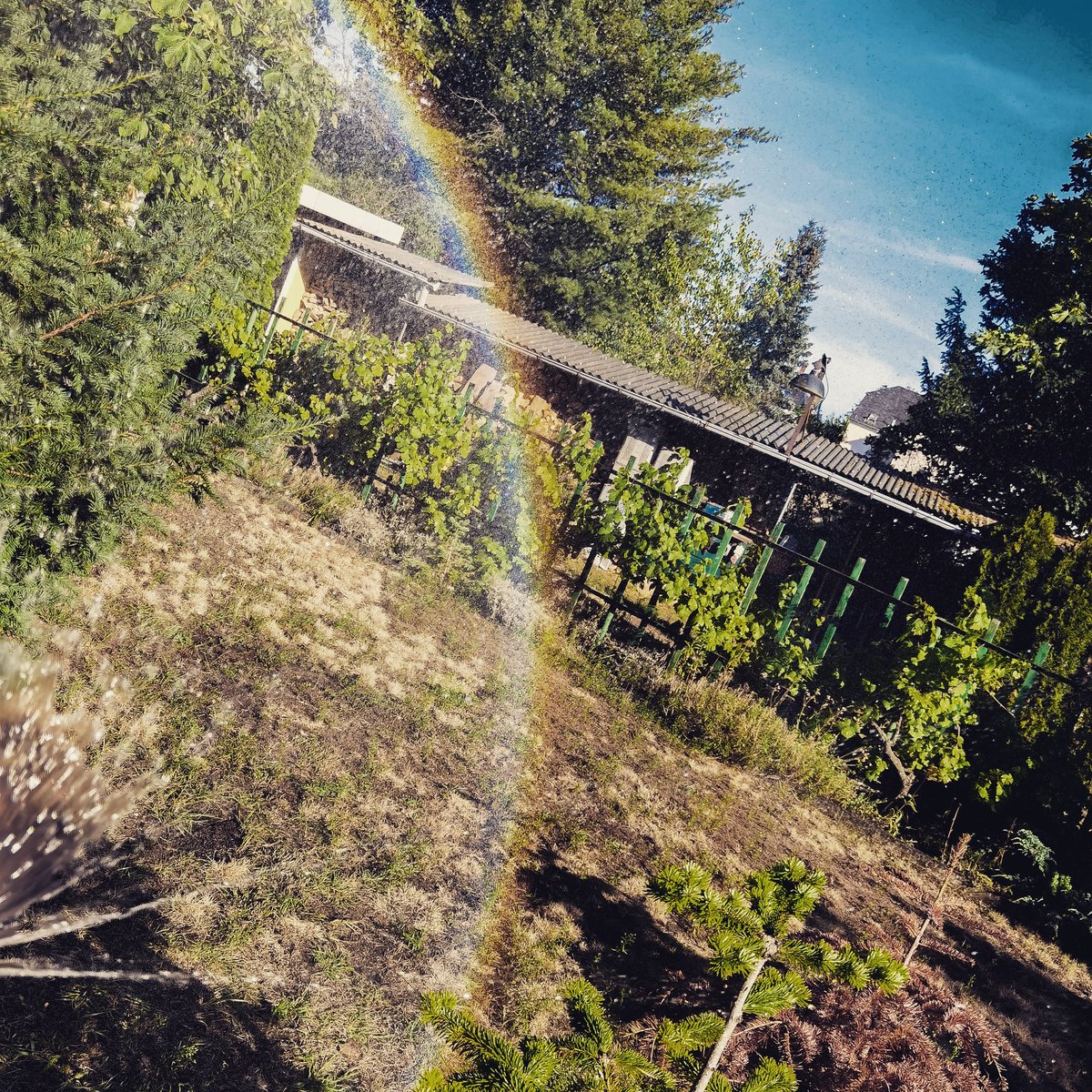 And when it rains on your parade, look up rather than down. Without the rain, there would be no rainbow.