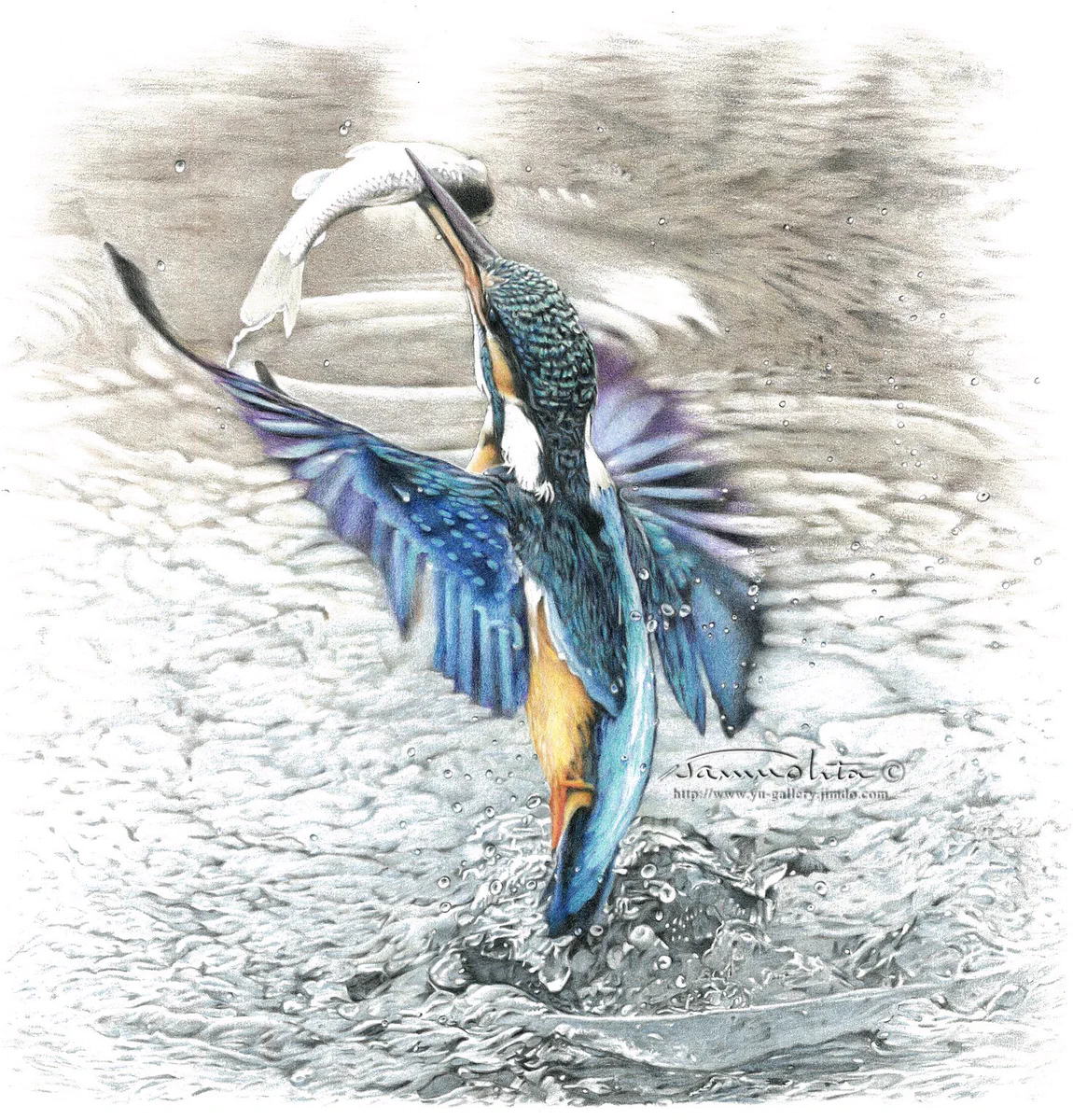 水彩画 川辺の一羽の鳥 水彩画 川辺の一羽の鳥 水彩画 川辺の一羽の鳥