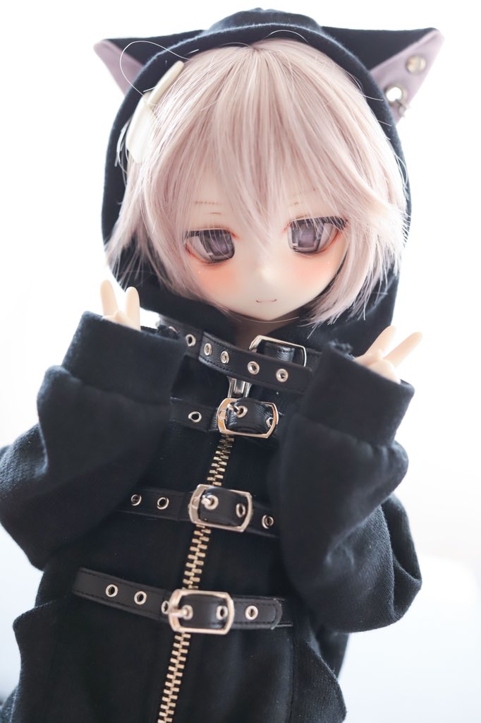 arisa_thkk's tweet photo. 🖤黒猫ちゃん🖤 https://t.co/LX983rH2Mm