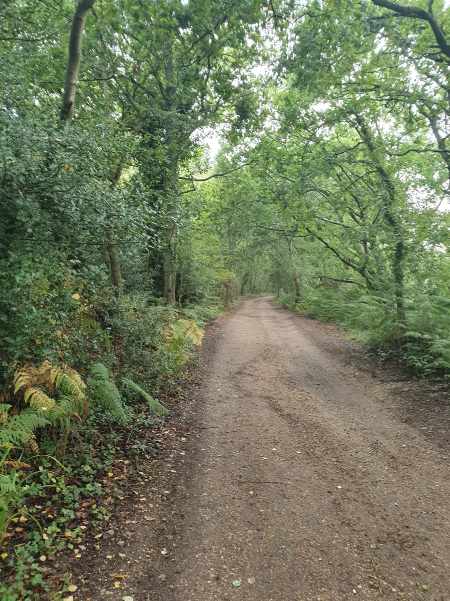 Brett Bader tweet media