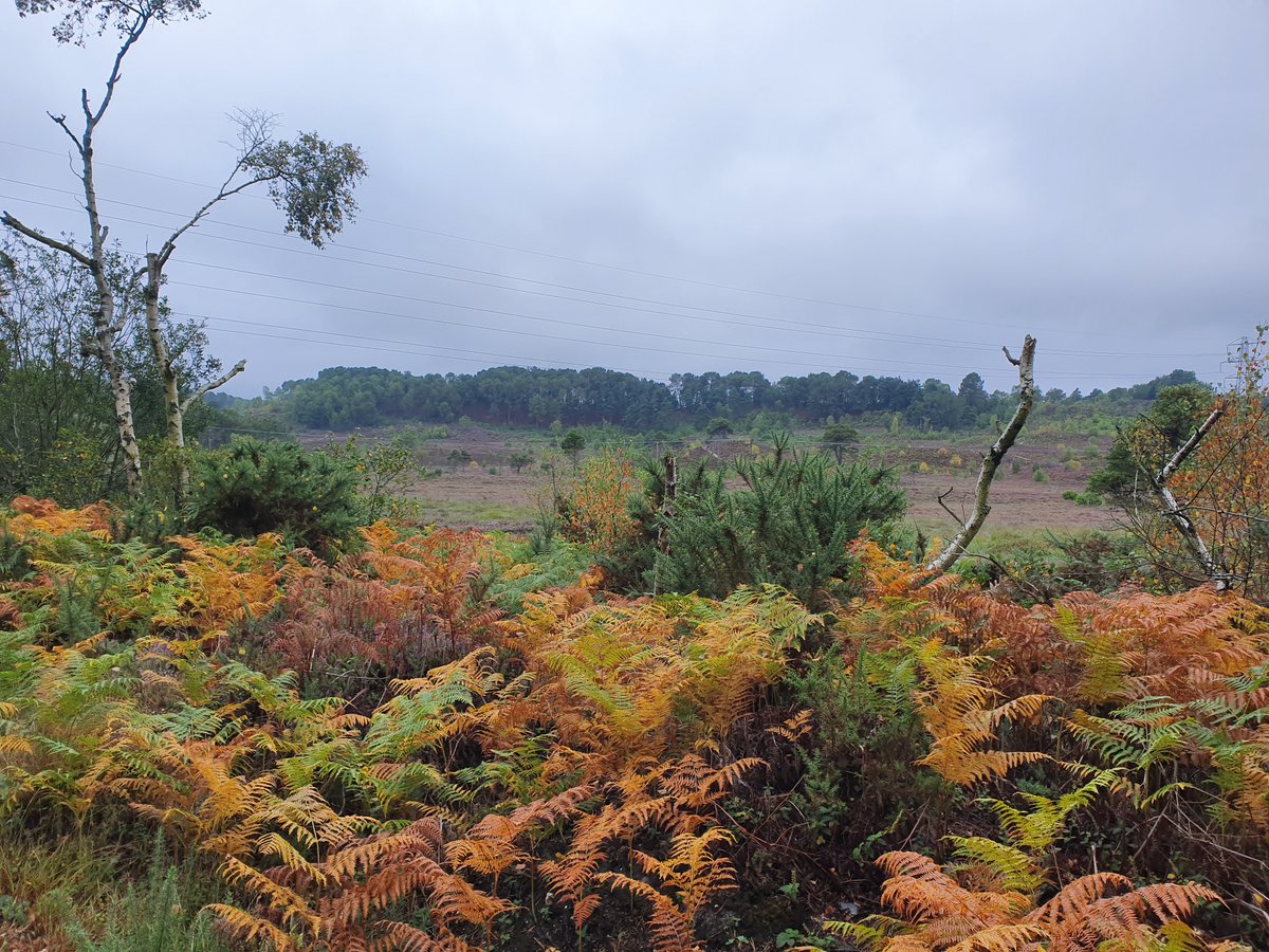 Brett Bader tweet media