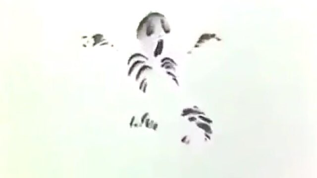 末廣末蔵 Sc0n0sciut0 Dvd Boxは大変なので 大変心苦しいのですが Youtube で探せると思います Twitter