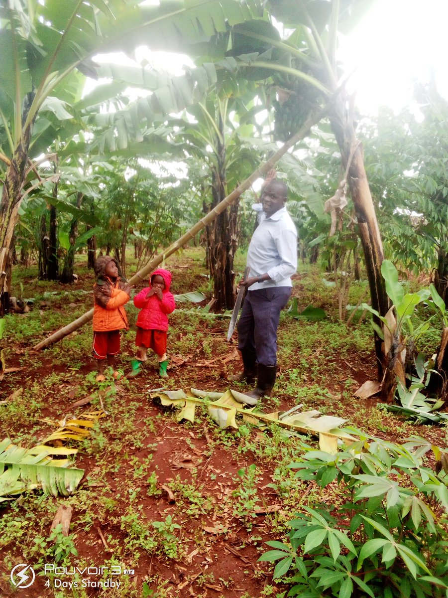 Annual leave best spend attending to my garden