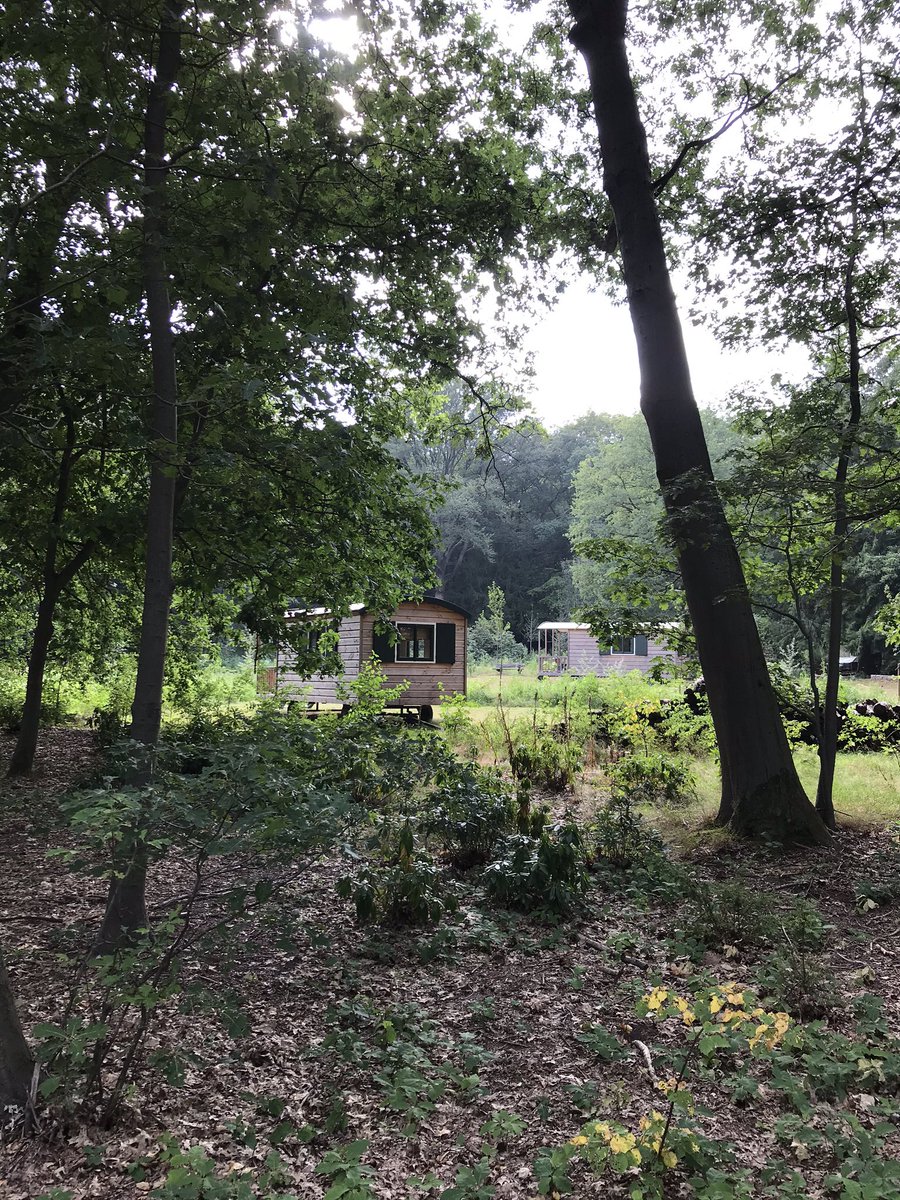 Some nice coach/ meeting places at @dehoorneboeg. Next to that you can eat really good @bijdetuinman (at the gardener) or book your yoga lesson/ retreat. Well sufficient to do there.. #meet #work #desk #meetingroom #eat #restarant #yogo #yogoretreat #coworkers #digitalnomad