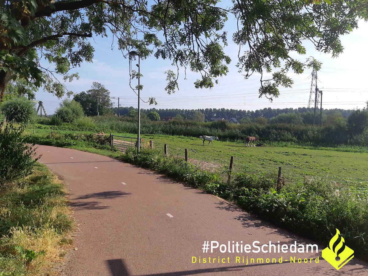 Graag DELEN getuigenoproep Politie Schiedam Gewonde man aangetroffen onder spoorwegbrug Joppepad over Poldervaart.