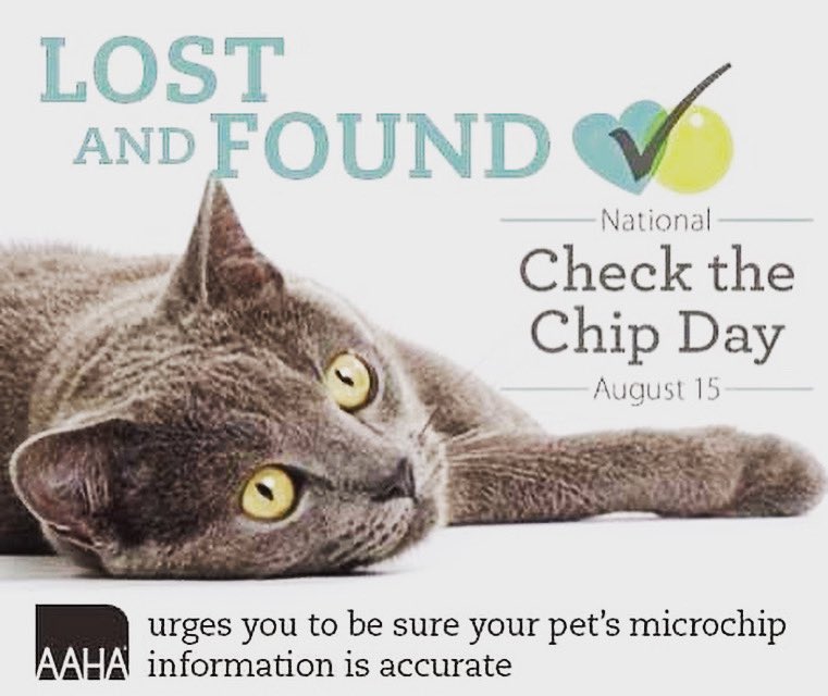 YWACpets's tweet image. Did you know yesterday was #nationalcheckthechipday?
Animal friends 🐶🐱🐰
Are you microchipped? Even if you enjoy the world from inside your home, it is EXTREMELY important to be microchipped. 

Ask your pawrents to take a minute to make sure your info is updated!
#checkyourchip