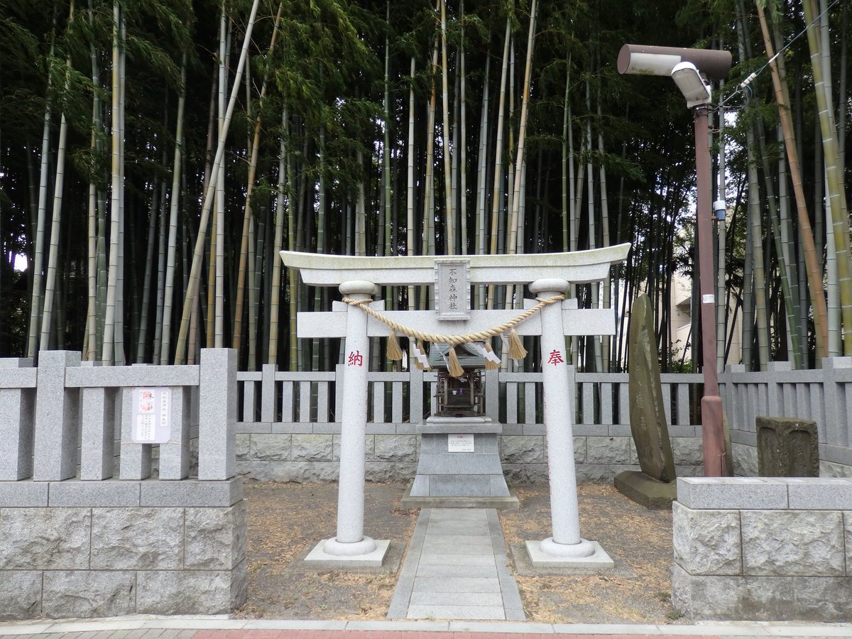 匕 キ イシ夕 不知森神社の御朱印も葛飾八幡宮でいただきました 不知森神社 不知八幡森 八幡の藪知らず 葛飾八幡宮 御朱印 匕 キ イシ夕 不知森神社の御朱印も葛飾八幡宮でいただきました 不知森神社 不知八幡森 八幡の藪知らず 葛飾八幡宮 御朱印