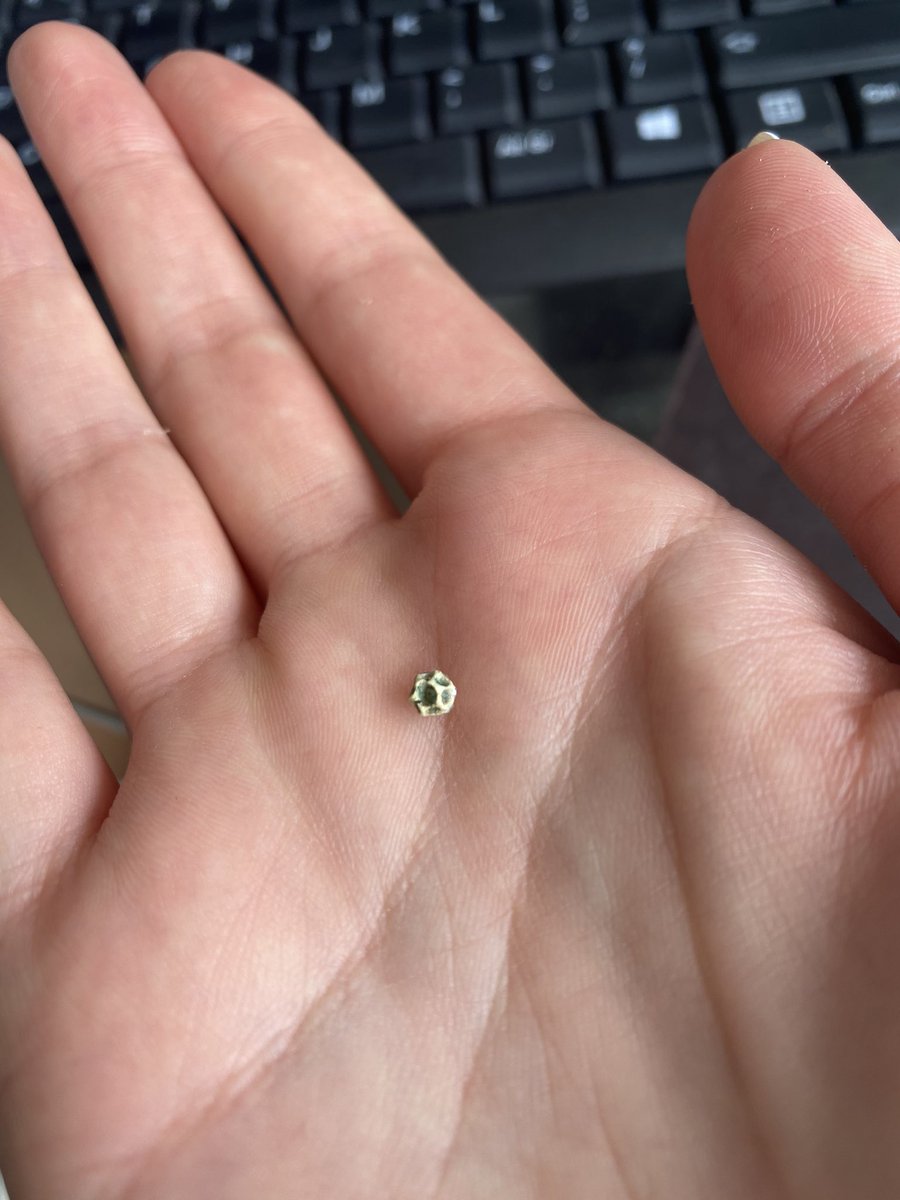 suziisale's tweet photo. @Claires_Help not happy with this titanium tragus bar I bought back in March, it’s disintegrated so I can no longer put it back on the bar... https://t.co/APQID1KUJZ