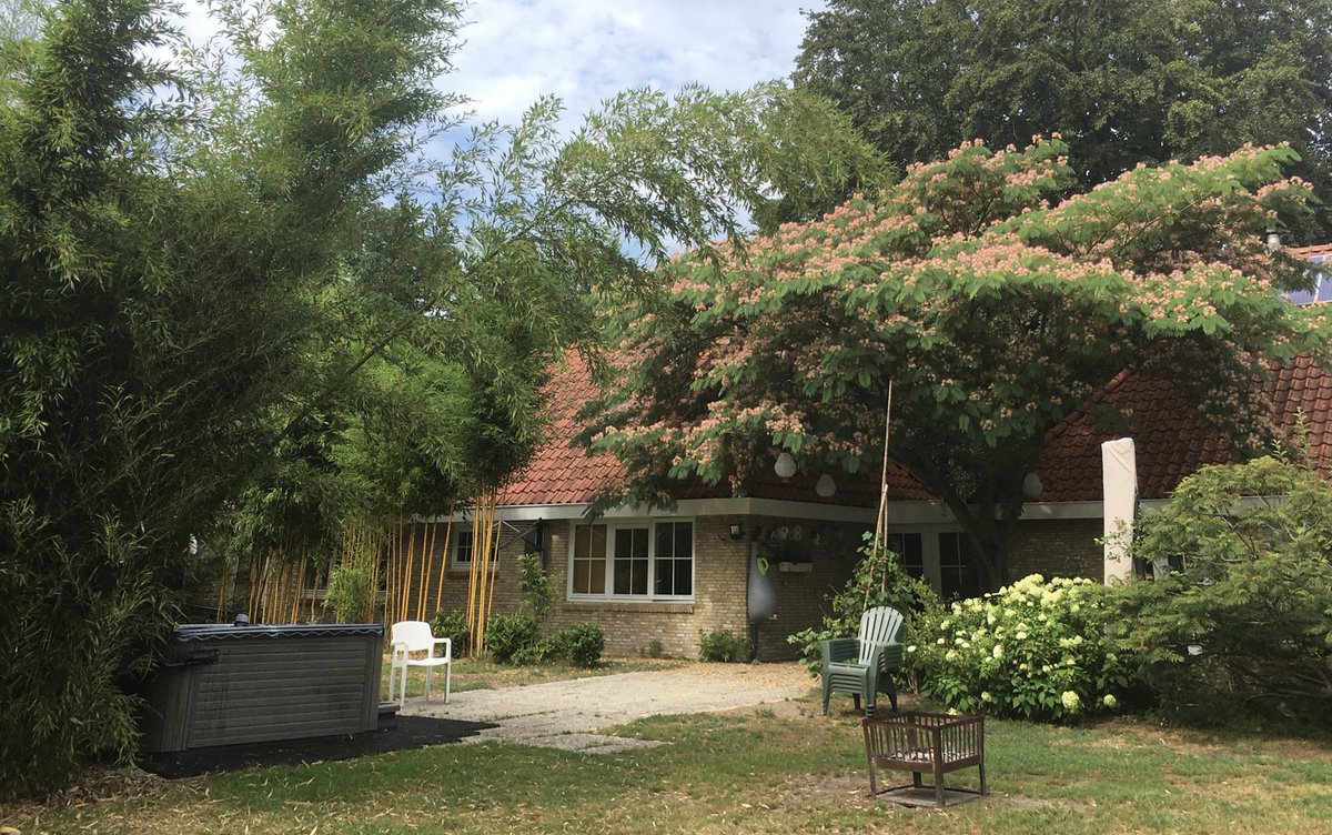 de zijdeboom, een feest om naar te kijken..❤️