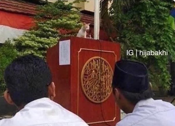 Haraam Police tweet media