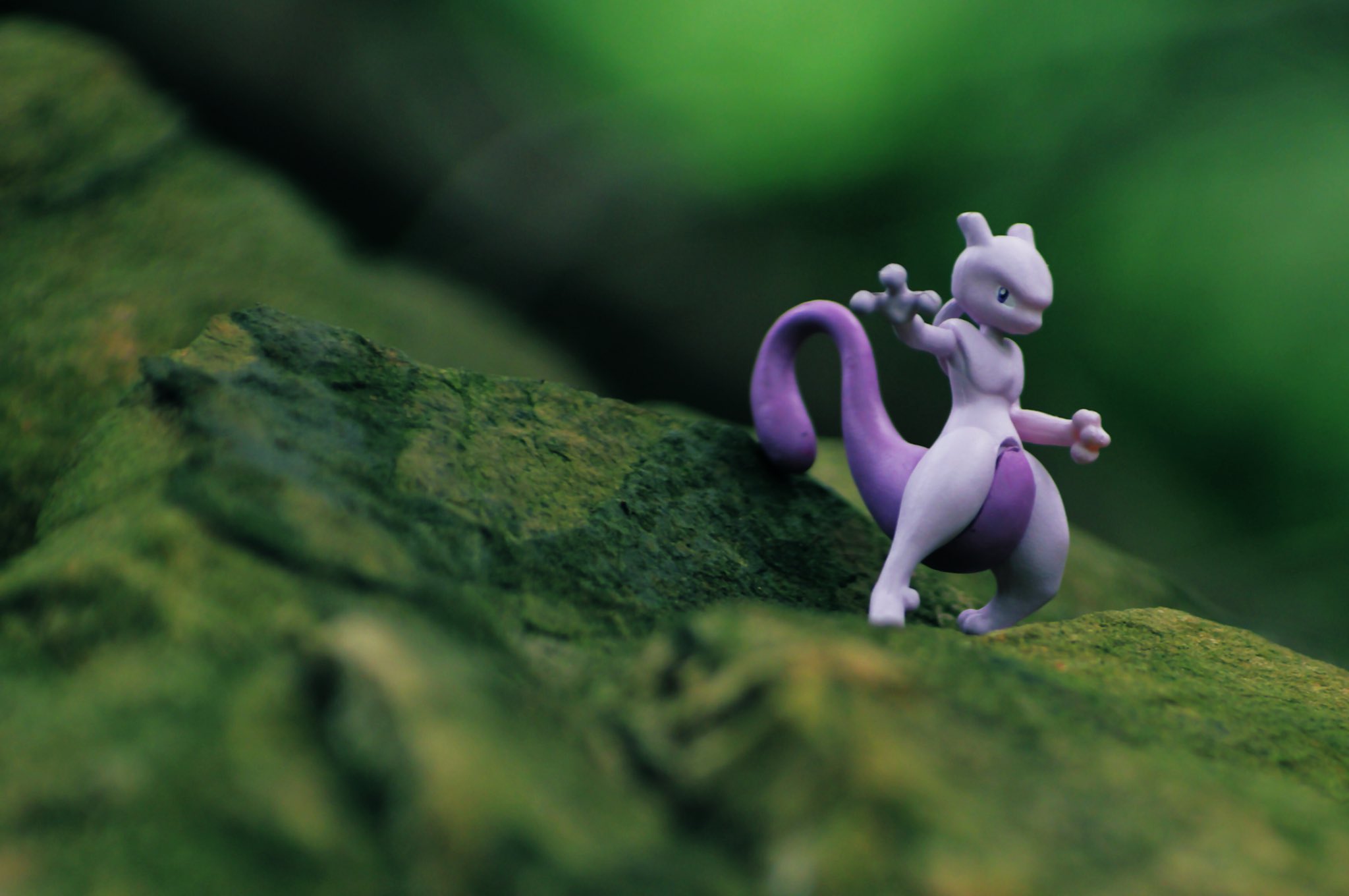 リアポケ No 150 ミュウツー Mewtwo ななしの洞窟 ポケモン写真 ポケモン野外撮影 Toyphotography Pokemon Realpokefinder Realpokemonsnap リアルポケファインダー リアル ポケモンスナップ ポケモンテラリウムコレクション T Co リアポケ No 150 ミュウツー Mewtwo ななしの洞窟 ポケモン写真 ポケモン野外撮影 Toyphotography Pokemon Realpokefinder Realpokemonsnap リアルポケファインダー リアル ポケモンスナップ ポケモンテラリウムコレクション T Co