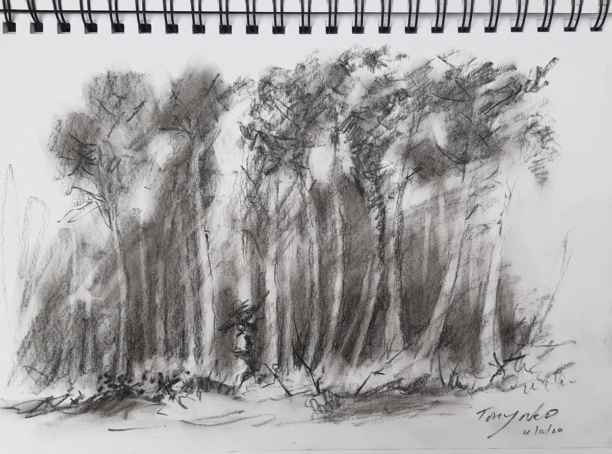 The finished sketch of Southey Wood...quick draw, charcoal pencil.