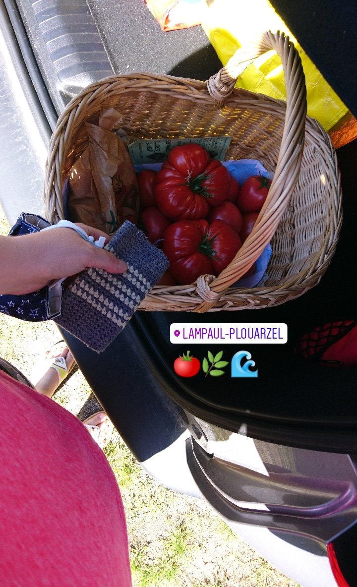 lafeecrochete's tweet image. La fille à la télé a le même prénom que moi. Ça me stresse à chaque fois que je l'entends tellement ça n'arrive jamais. @TF1 #BTP 🏗⛑️👒🛍️ #reportagedécouverte 🍅🍒 #ventedirecte #venteflash