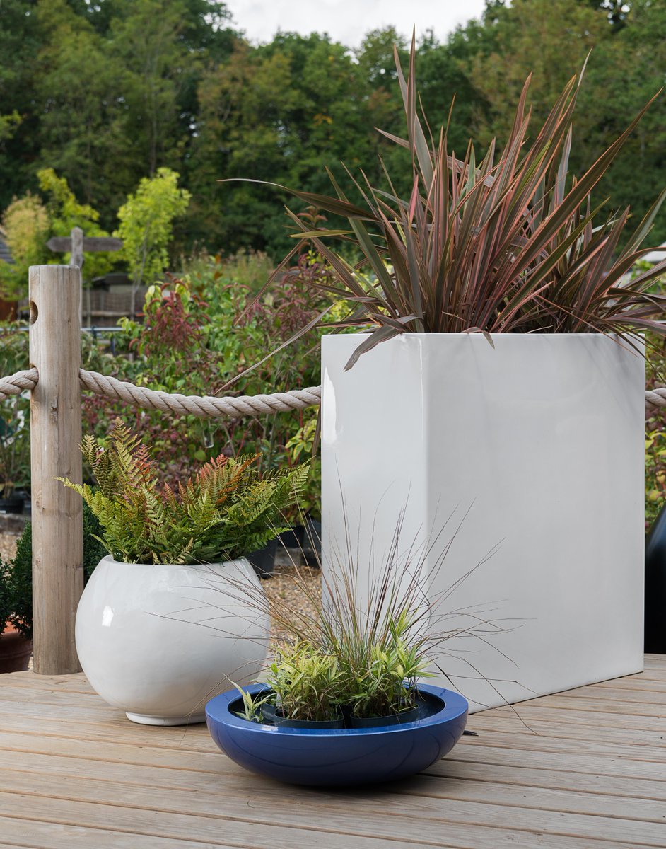 Cedar Nursery - Plants and Outdoor Living tweet media