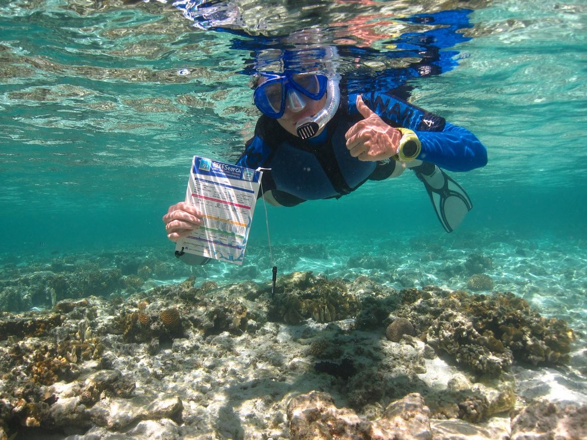 WomenInSTEMM_AU's tweet photo. How a love of the Deep Blue led to a brilliant career https://t.co/gMY9kqR1Mq Thanks to @JodiSalmond for sharing your STEMM Profile with us! #womeninSTEMM https://t.co/Rc81DPCAo8