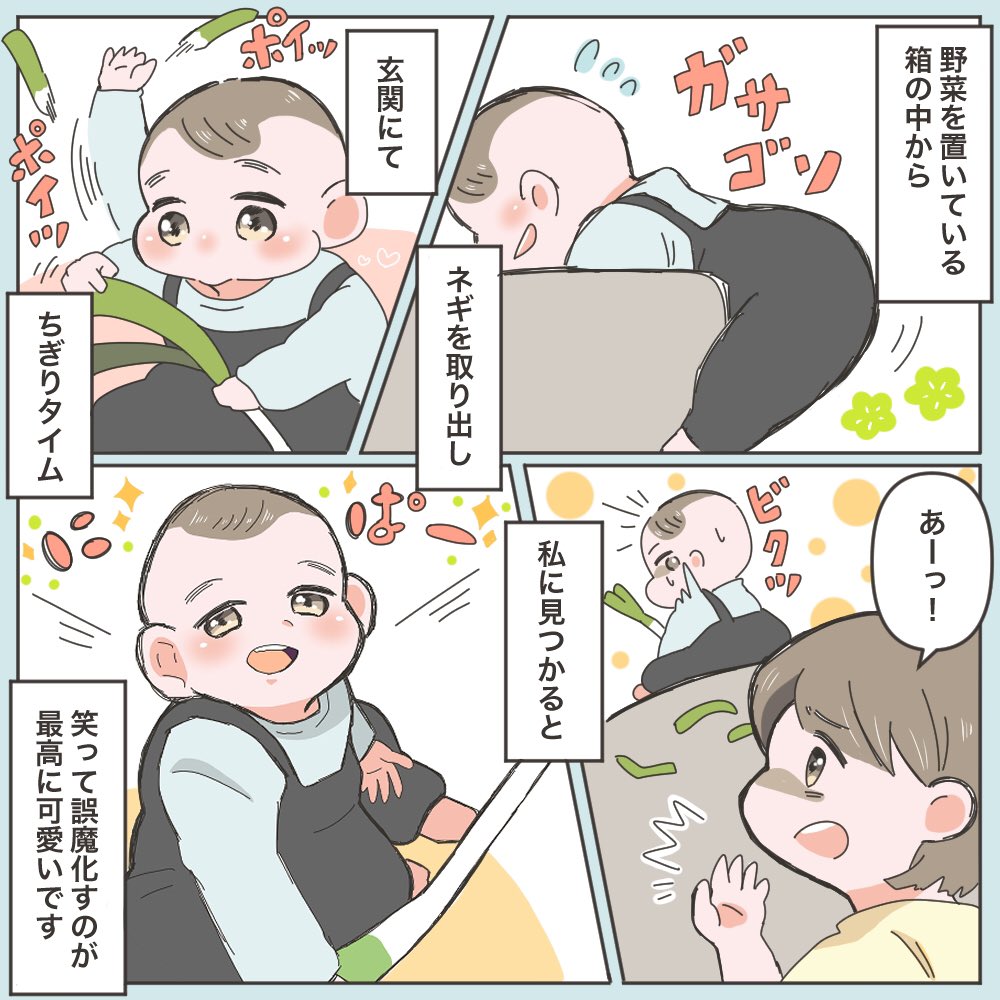 フォロワーさんの《子供の可愛い悪戯》
ネギはまだやられたことないけど
いつかあるだろうな‥? 