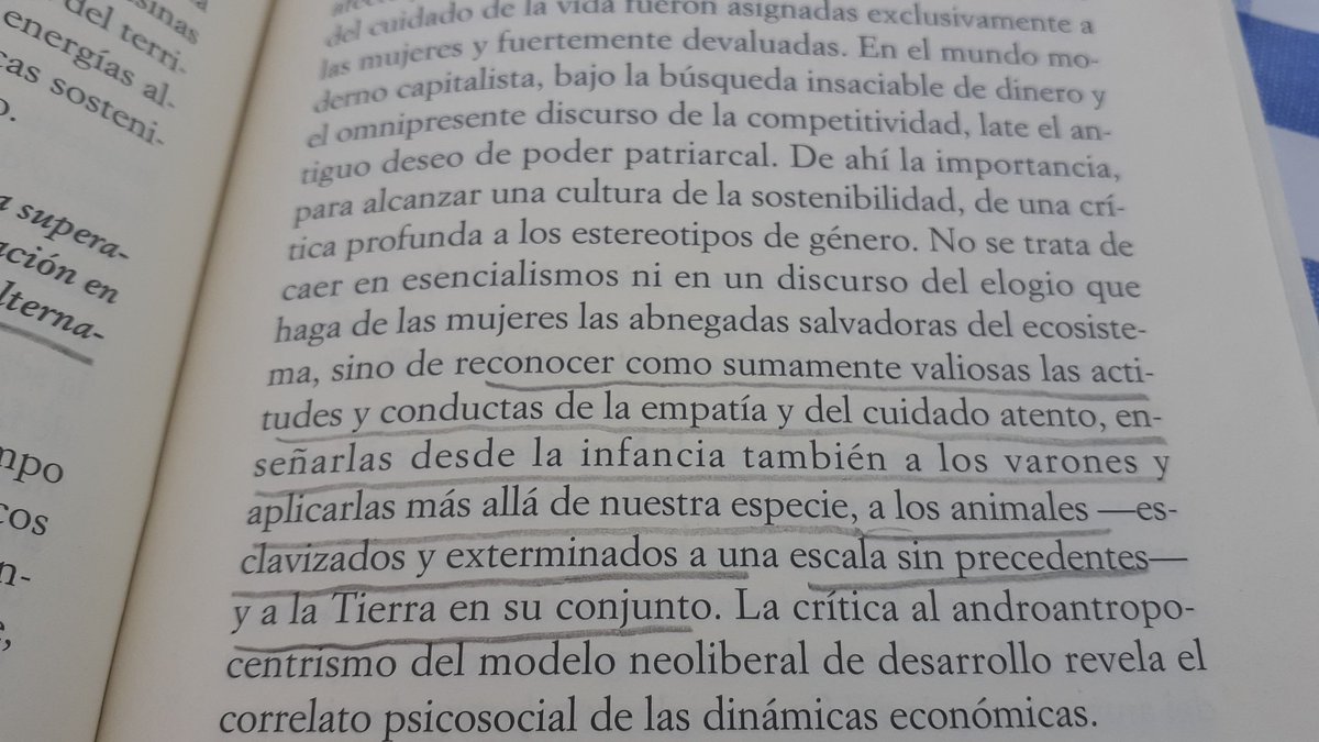 lanbymy's tweet photo. @TafallaMarta En términos de pandemia,  estamos en el pico! Al borde del precipicio.
#EcofeminismoOBarbarie
@AliciaPuleo https://t.co/uDJhAUTsPP