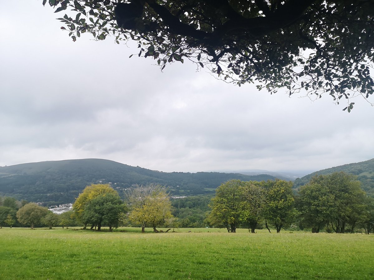 BiancaD_SLT's tweet photo. Making the most of the Welsh countryside before relocating next week #AHPsActive #WeActiveChallenge https://t.co/oqv6FNapEd