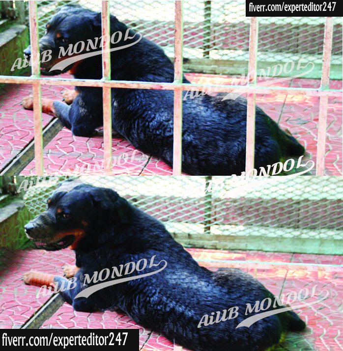 mdaiubmondol's tweet photo. #watermark_remove and #object_remove service
For order please check my profile, here is my work profile link
#Remove_Watermark #Remove_background #Graphic_design #object_remove #text_remove_from_photo #logo_remove_from_photo #united_states #germany https://t.co/ZTQ814ppw6