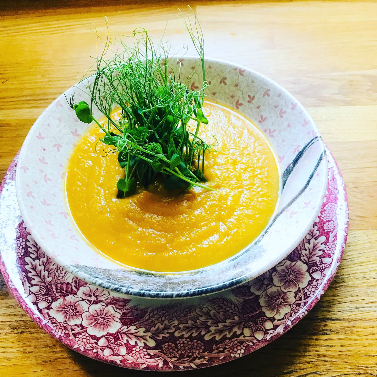 It’s a soup kinda day! Home made Butternut squash and chilli soup topped with our organically grown PeaShoots 🌱 #Microgreens #Peashoots #nutrientdense #nutrientdensefood #vegetarian #soupdays #soupoftheday #soupersoup #magnificentmicrogreens #organicallygrown #summer