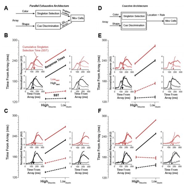 The Schall Lab tweet media