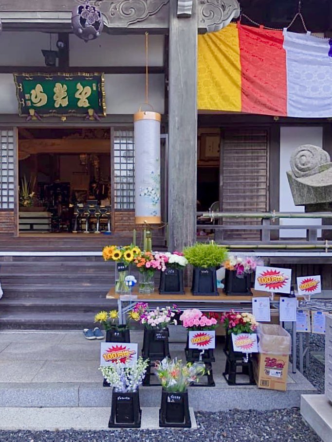 Hanane Official 岡山初開催 本日は岡山県の観音寺にて 花つみを行いました 1本100円のお花とともに お供えとしてチャンスフラワーのお花をいけていただきました チャンスフラワーだからこそ出来るこのような取り組みを 今後とも全国に展開して