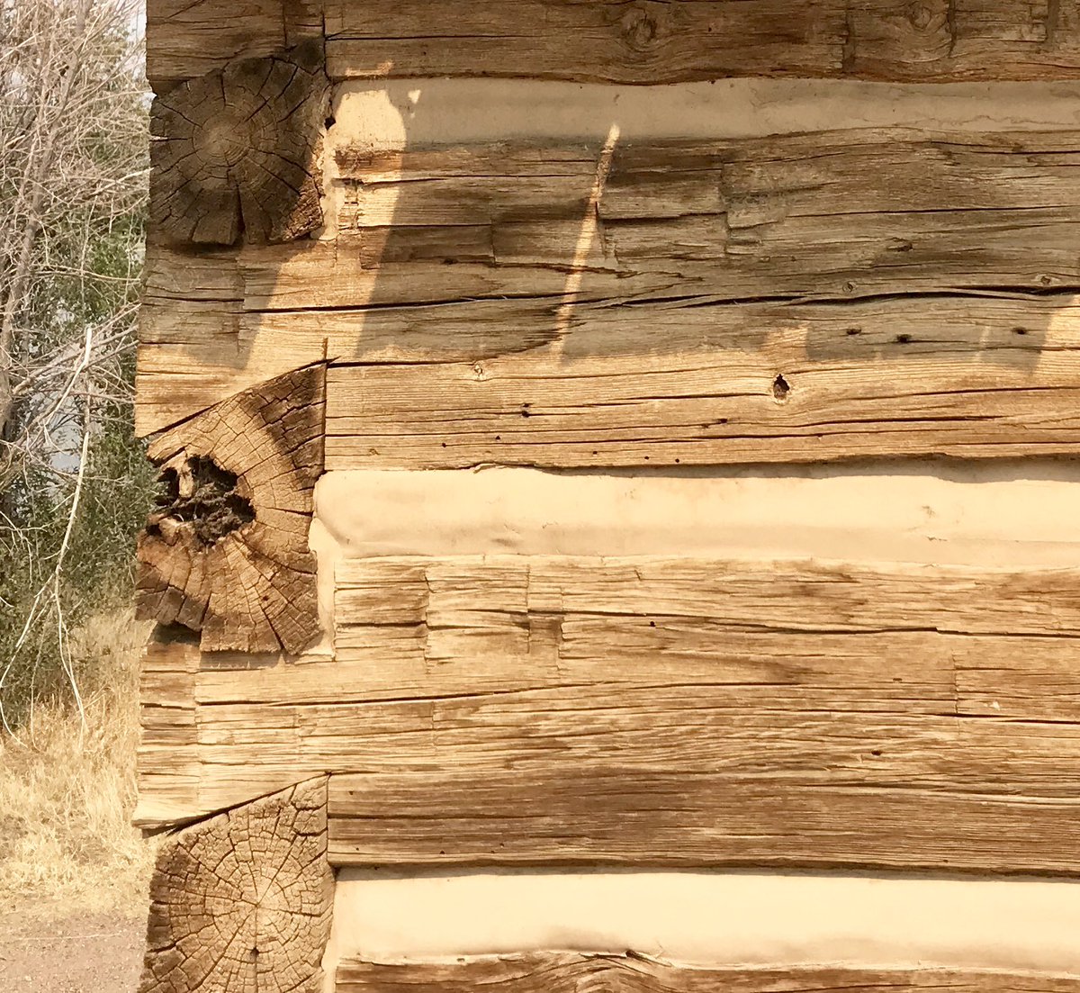 Went out exploring on my bike this morning 🚴🏼‍♀️ found out I’m turning into my mom. I stopped to read historical signs! How else would I learn this is the oldest standing structure in the Denver aria? Built by a trapper in 1852 using a V-notch instead of nails! #craftsmanship