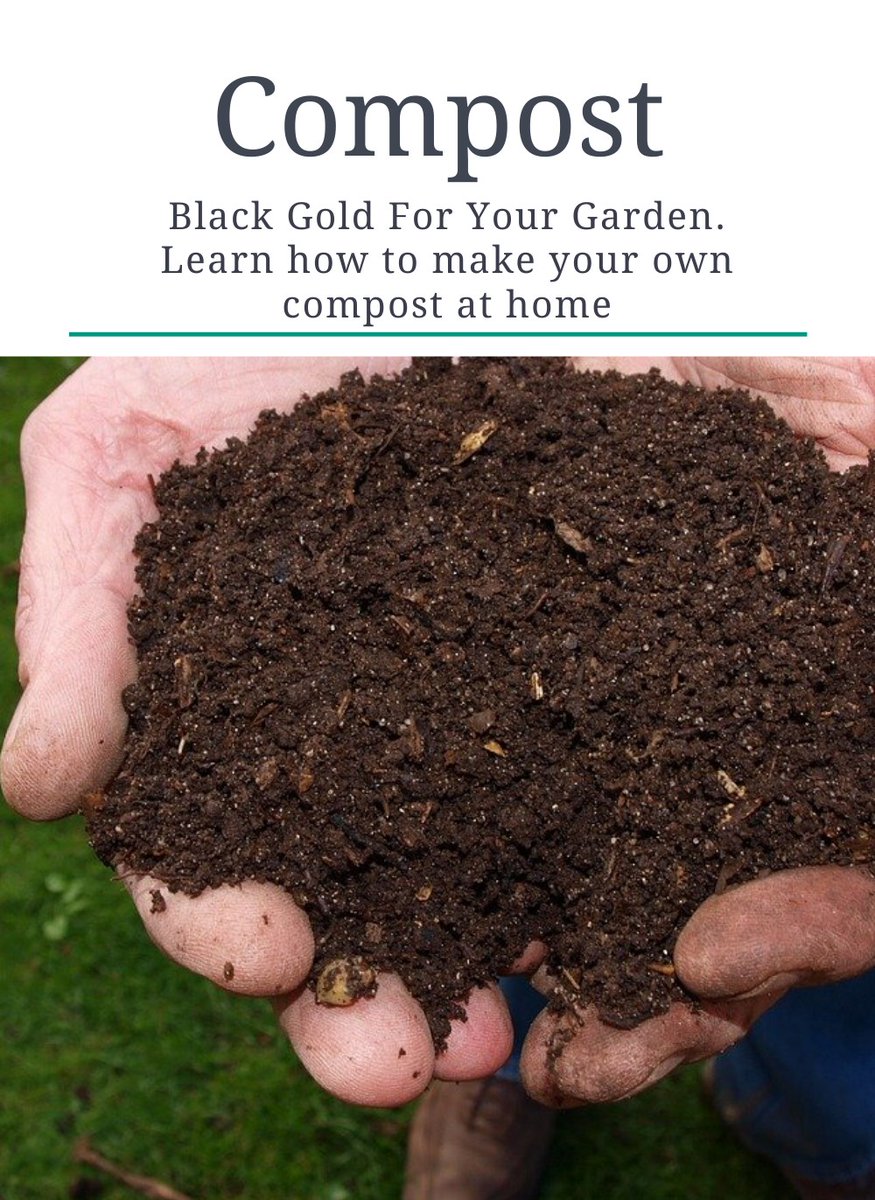 Перегной летом. Куча навоза. Перегной летом. Конский перегной. Навоз коровий.