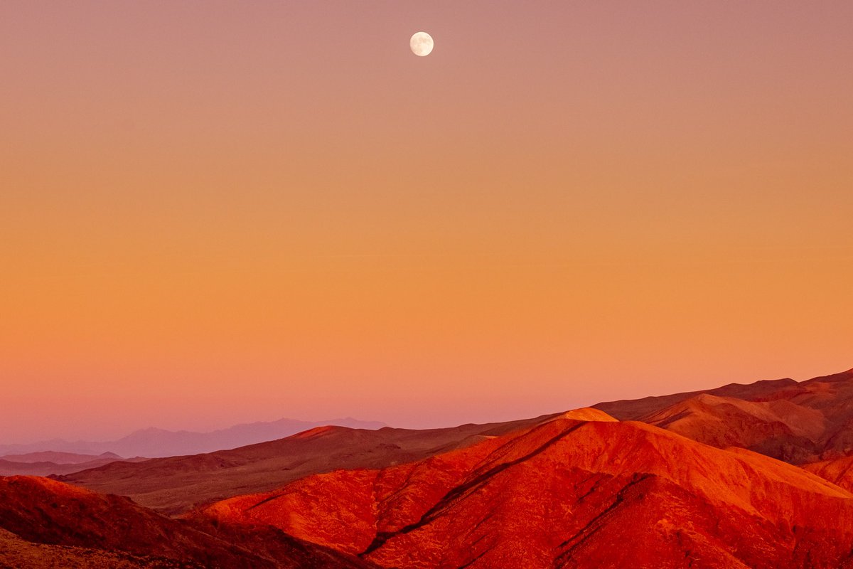 Photos I took on Mars