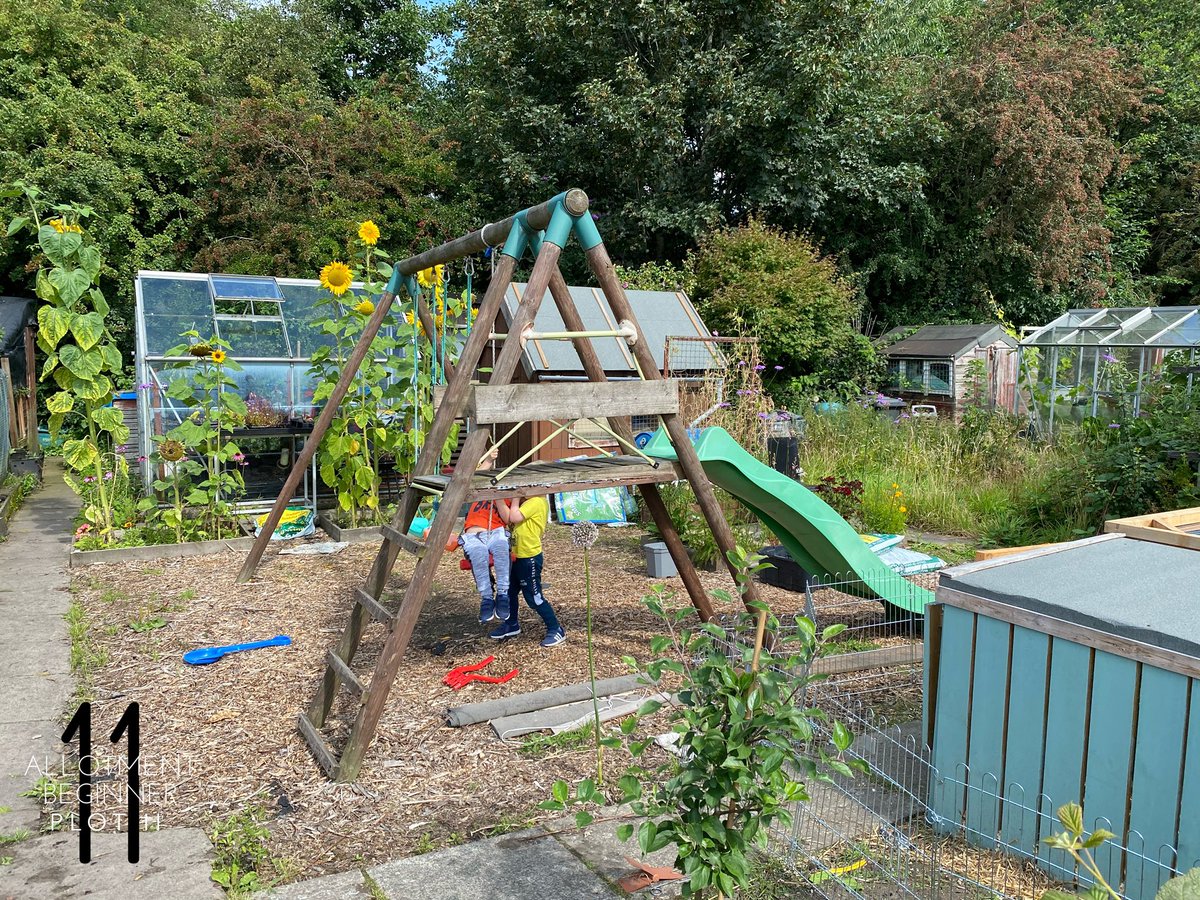 AllotmentPlot11's tweet photo. When you go down to the plot and feel overwhelmed by the weeds and the mess, it can sometimes be good to look back to look forward and know that you’re actually doing ok! 😁
#Allotment #Allotmentlife #FamilyPlot #love #gyo #greenhouse #shed #pottingshed #Plot11 #thenandnow https://t.co/Axx75A2mjM