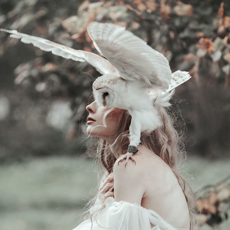 reference_town's tweet image. 🦉| people with owls references