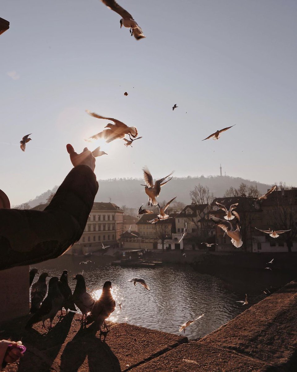 Güzel günler çabuk geçer, içimiz hep bir hoşçakal ülkesi...

- Cahit Zarifoğlu