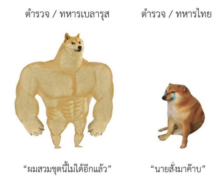 เปี๊ยก🎄 tweet media